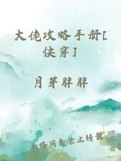 大佬攻略手冊[快穿]