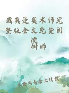 我真是奧術(shù)師完整版全文免費(fèi)閱讀