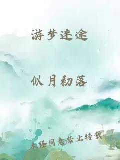 游夢(mèng)迷途