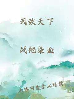 武敵天下