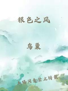 銀色之風(fēng)