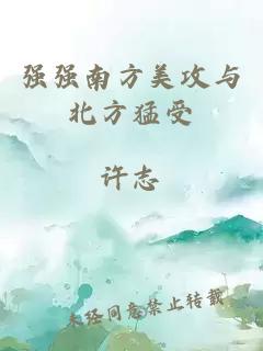 強強南方美攻與北方猛受