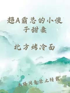 超A霸總的小傻子甜妻