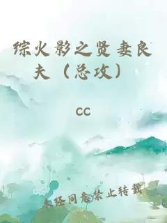 綜火影之賢妻良夫(總攻)