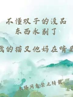 不懂雙子的沒品東西永別了