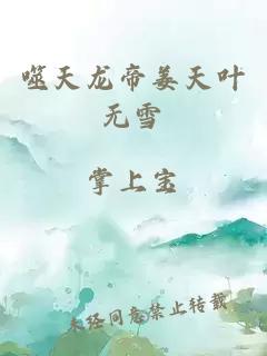 噬天龍帝姜天葉無雪